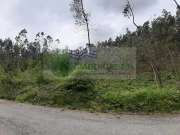 Terreno para Venda em Sever do Vouga