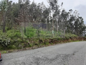 Terreno para Venda em Sever do Vouga