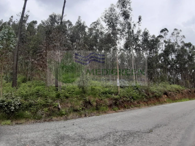Terreno para Venda em Sever do Vouga Foto 3