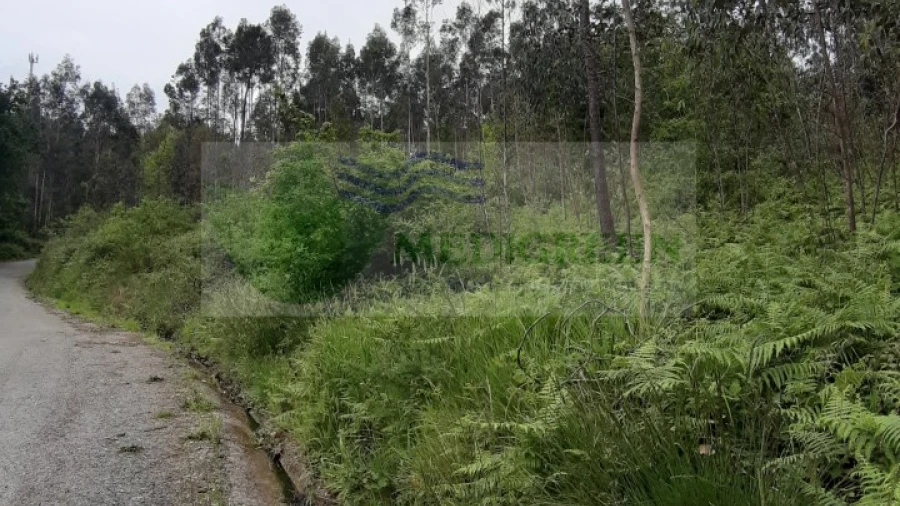 Terreno para Venda em Sever do Vouga