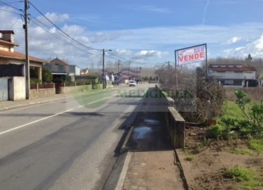 Terreno para Venda em Oliveira do Bairro