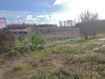Terreno para Venda em Oliveira do Bairro