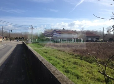 Terreno para Venda em Oliveira do Bairro