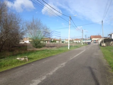Terreno para Venda em Oliveira do Bairro