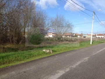 Terreno para Venda em Oliveira do Bairro