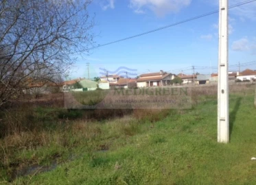 Terreno para Venda em Oliveira do Bairro