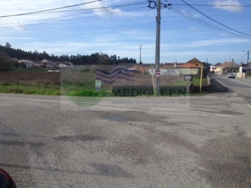 Terreno para Venda em Oliveira do Bairro
