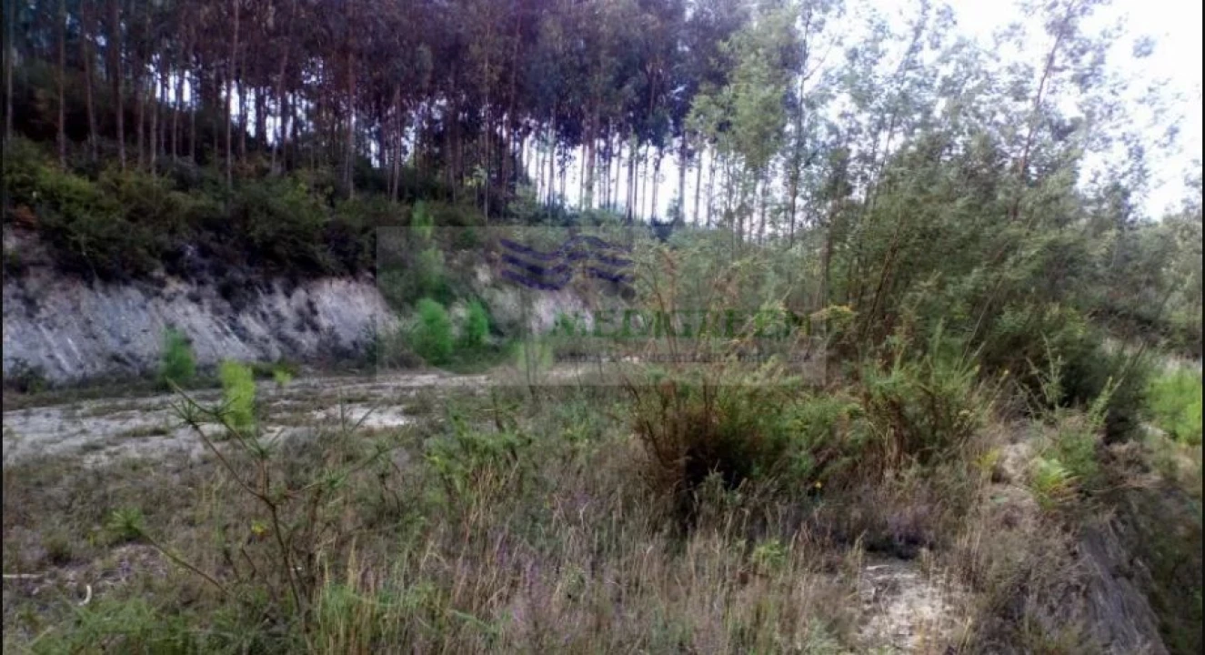 Terreno para Venda em Cedrim e Paradela Foto 5