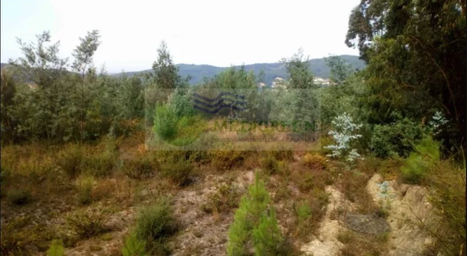 Terreno para Venda em Cedrim e Paradela Foto 2