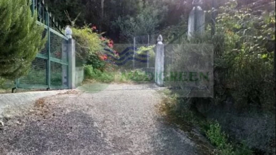 Terreno para Venda em Cedrim e Paradela