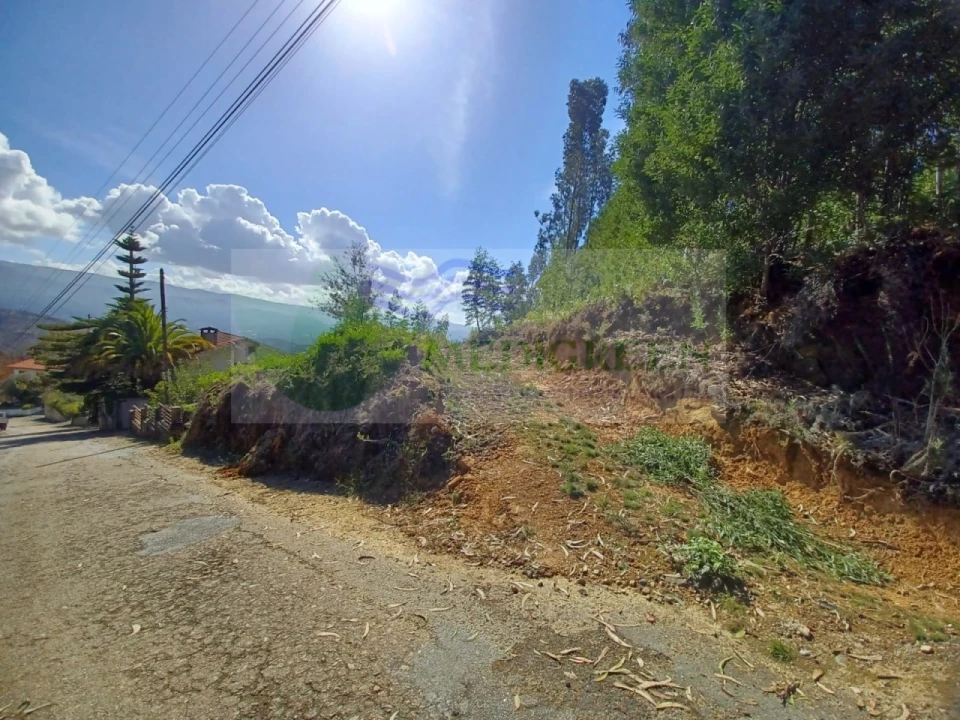 Terreno para Venda em Sever do Vouga Foto 3