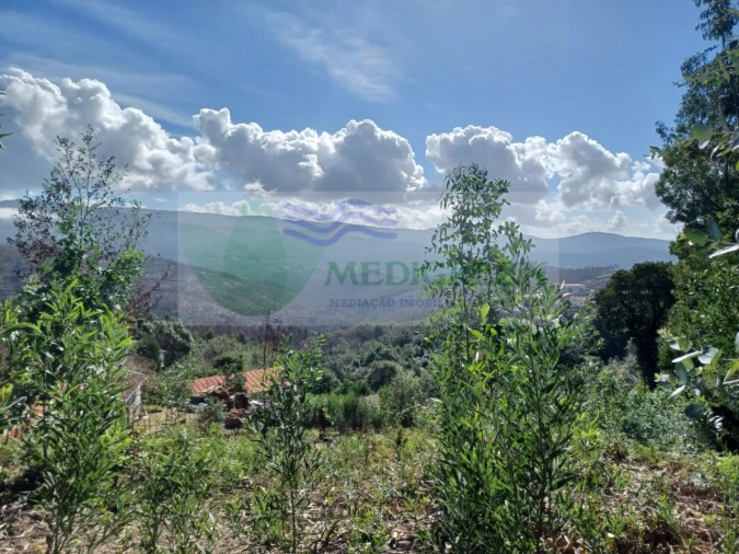 Terreno para Venda em Sever do Vouga Foto 1