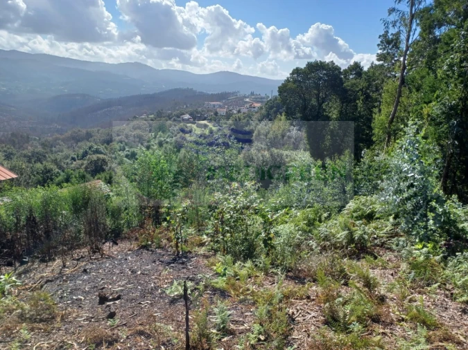 Terreno para Venda em Sever do Vouga Foto 9