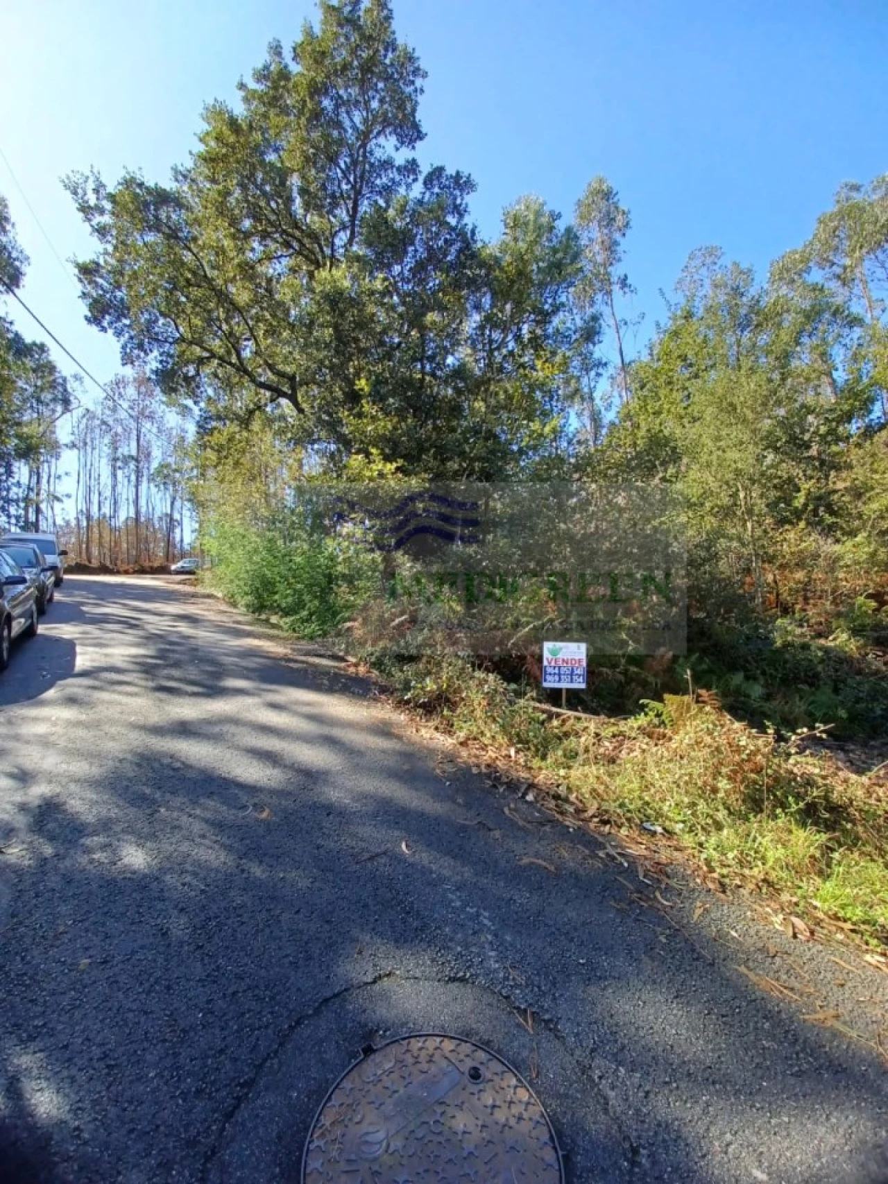 Terreno para Venda em Sever do Vouga Foto 2