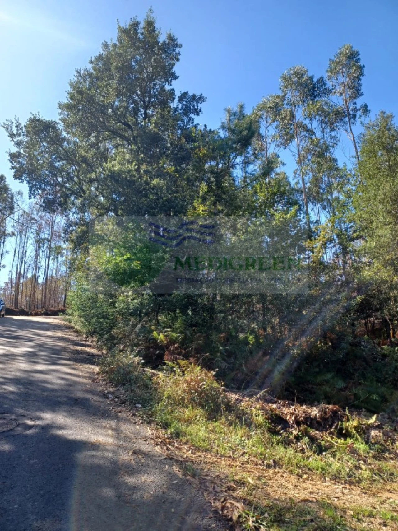 Terreno para Venda em Sever do Vouga Foto 6