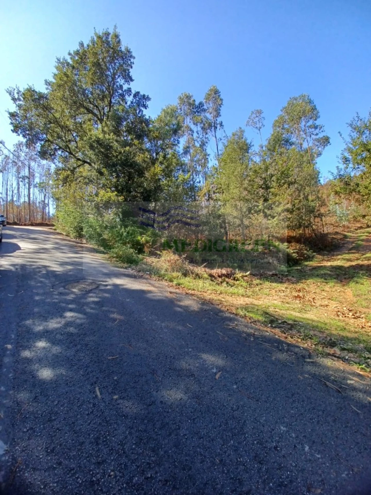Terreno para Venda em Sever do Vouga Foto 7