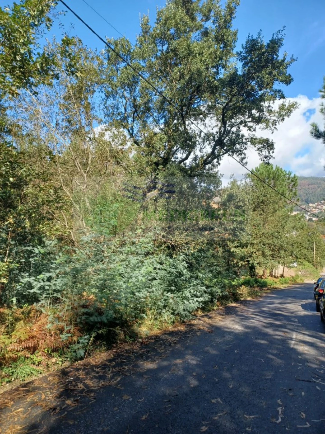 Terreno para Venda em Sever do Vouga Foto 8
