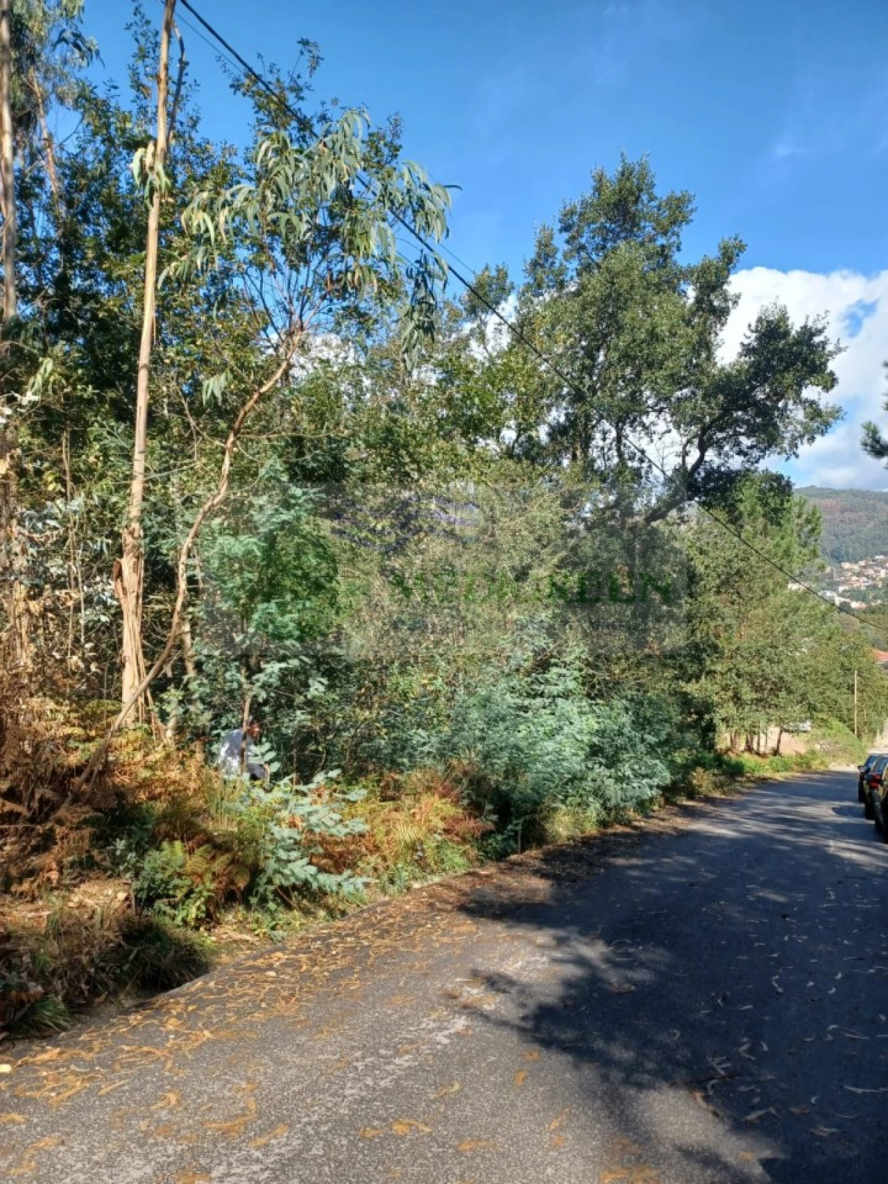 Terreno para Venda em Sever do Vouga Foto 10