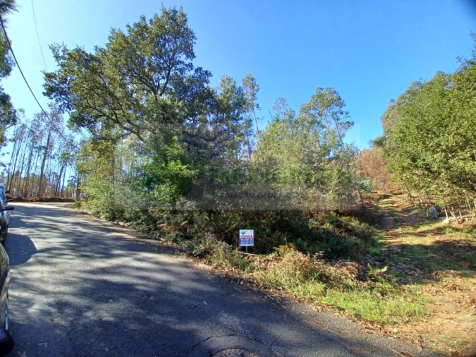 Terreno para Venda em Sever do Vouga Foto 1