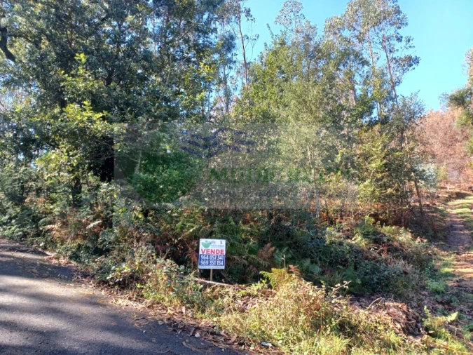 Terreno para Venda em Sever do Vouga Foto 4