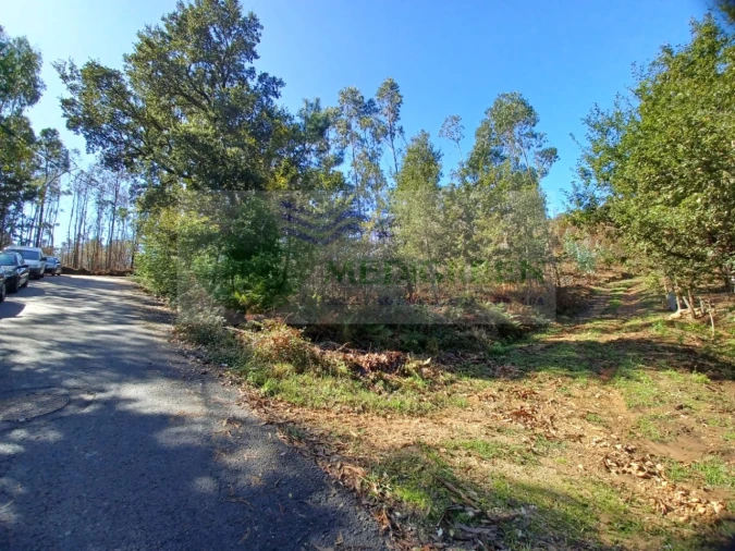 Terreno para Venda em Sever do Vouga Foto 5