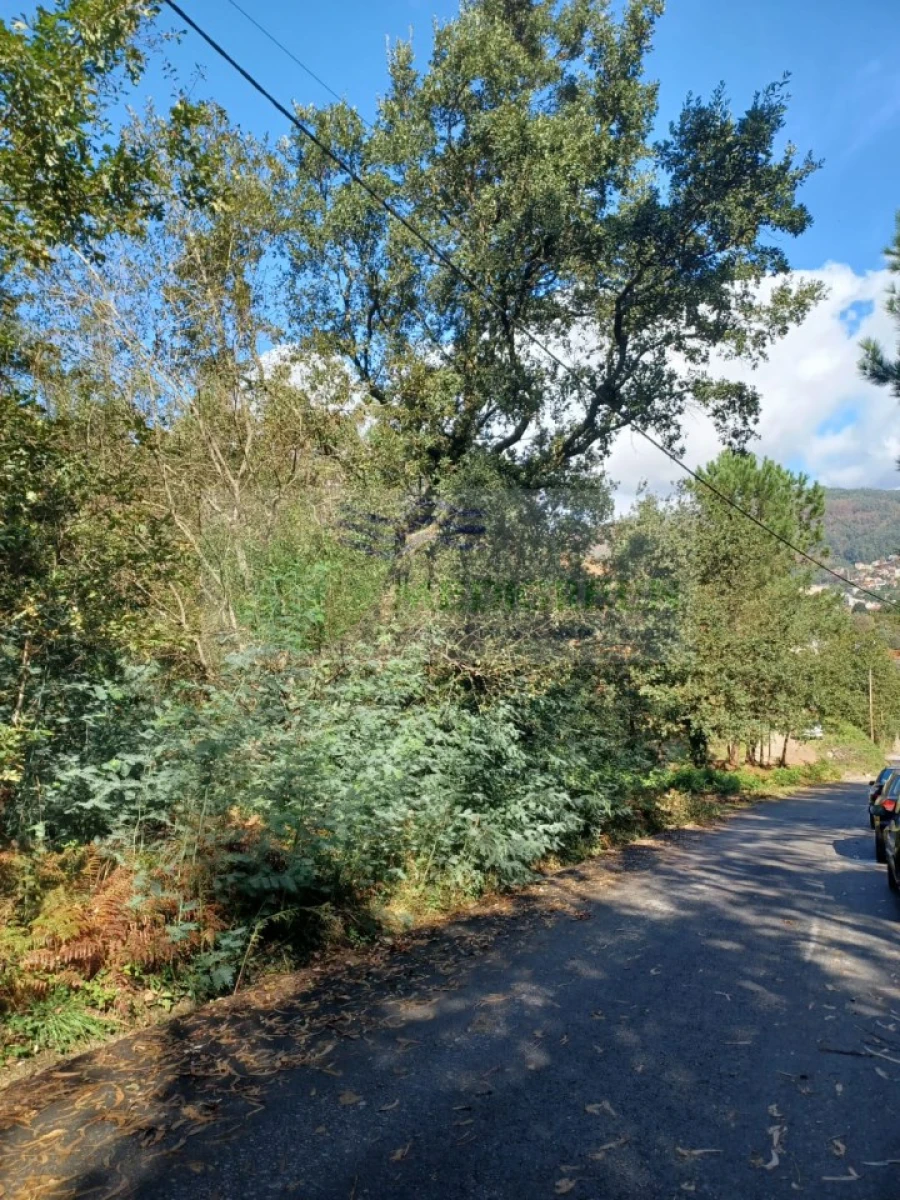 Terreno para Venda em Sever do Vouga Foto 8