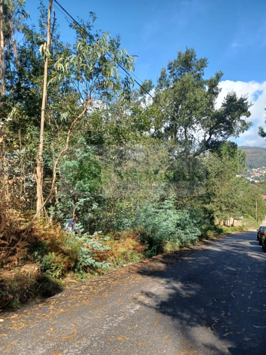 Terreno para Venda em Sever do Vouga Foto 10