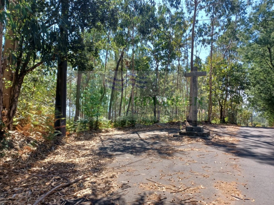 Terreno para Venda em Rocas do Vouga Foto 7