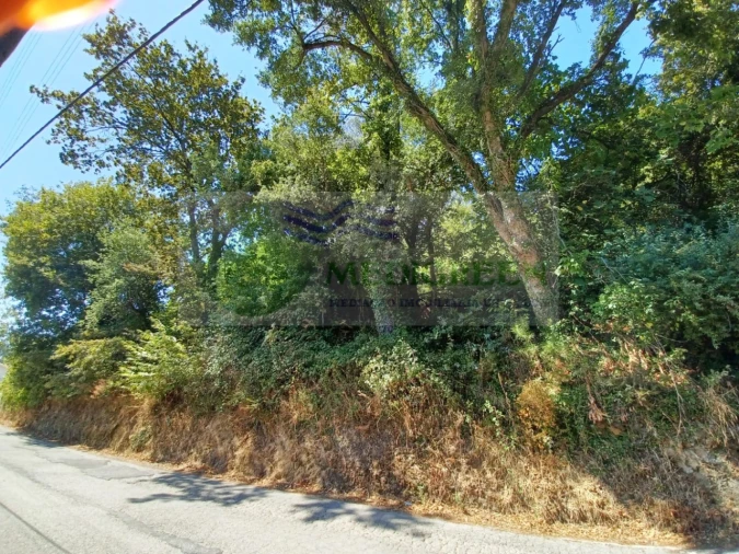 Terreno para Venda em Rocas do Vouga Foto 3