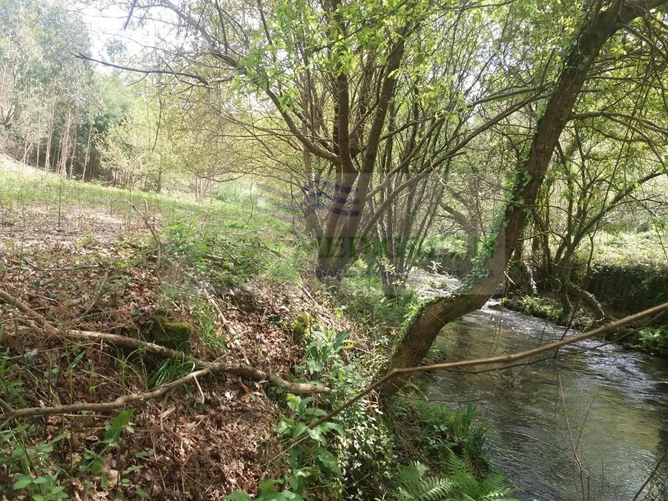 Terreno para Venda em Cedrim e Paradela Foto 3