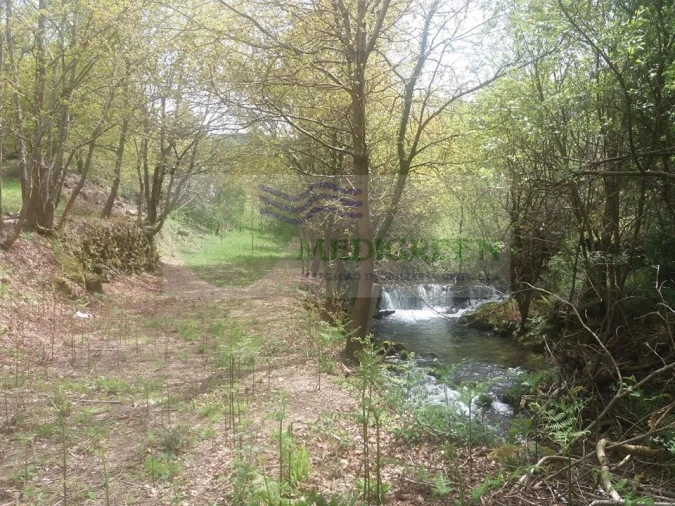 Terreno para Venda em Cedrim e Paradela