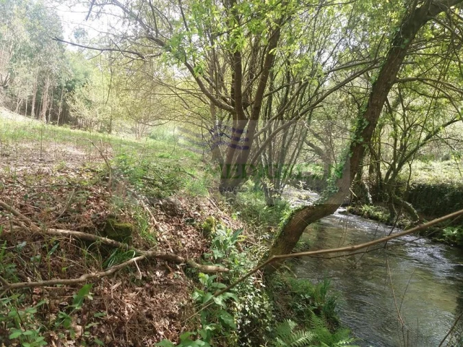 Terreno para Venda em Cedrim e Paradela Foto 3