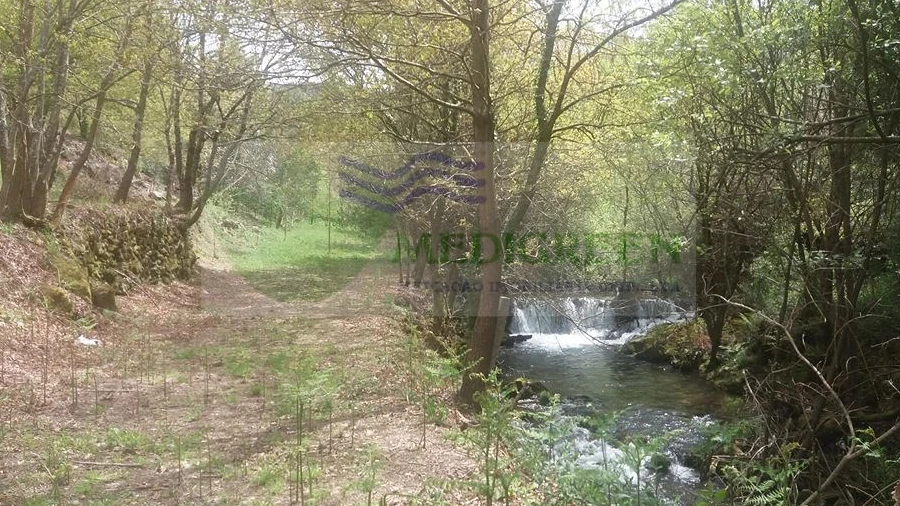 Terreno para Venda em Cedrim e Paradela