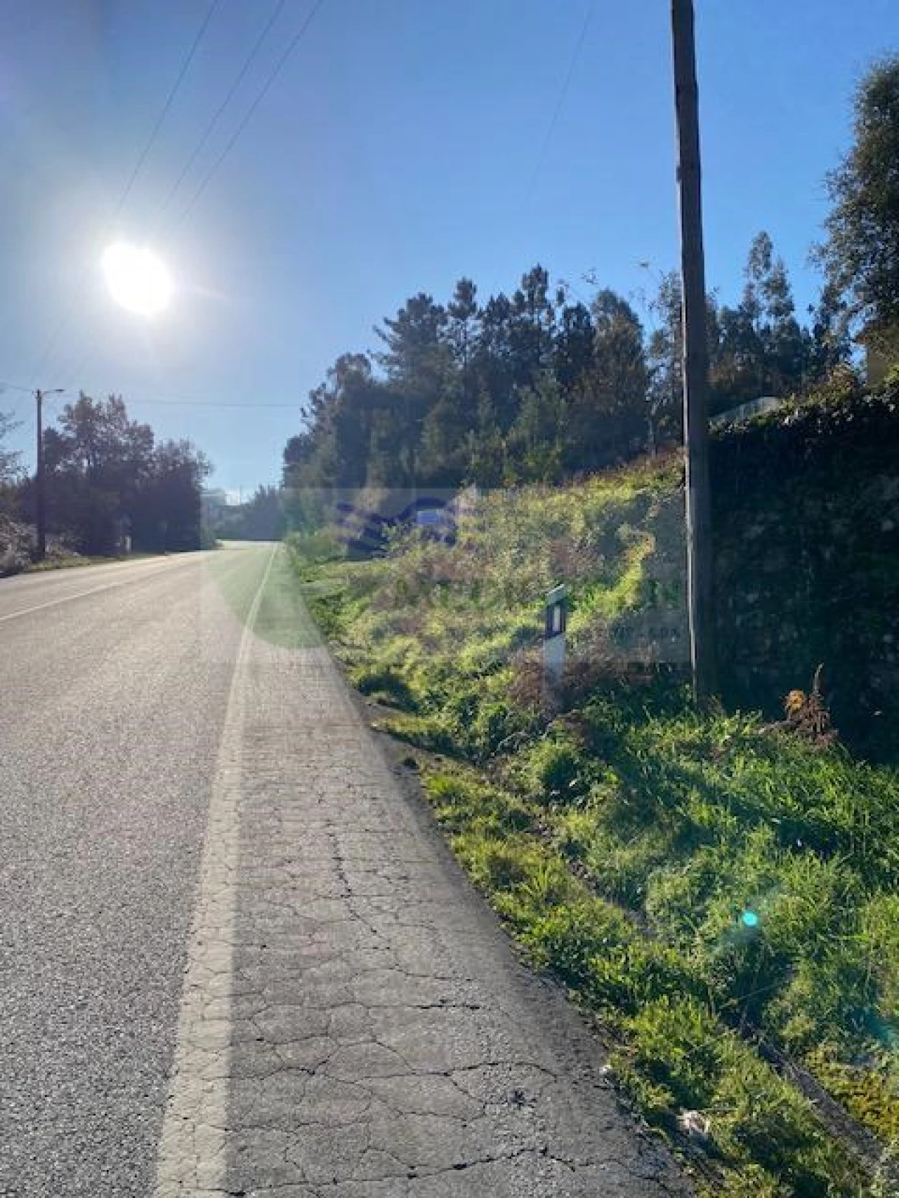 Terreno para Venda em Cedrim e Paradela Foto 2