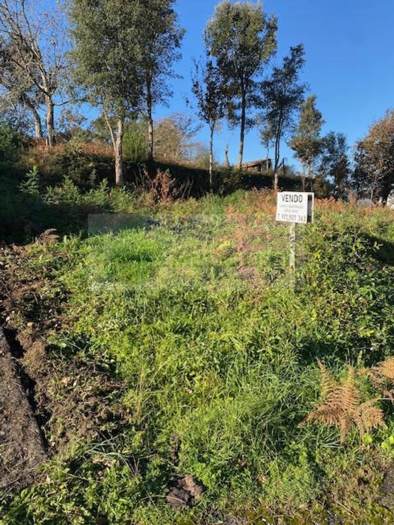 Terreno para Venda em Cedrim e Paradela Foto 8