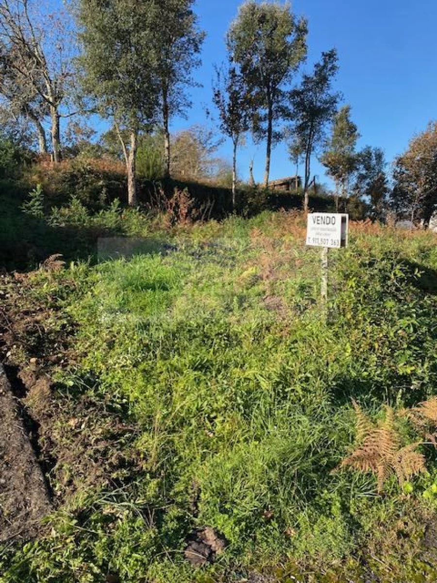 Terreno para Venda em Cedrim e Paradela Foto 8