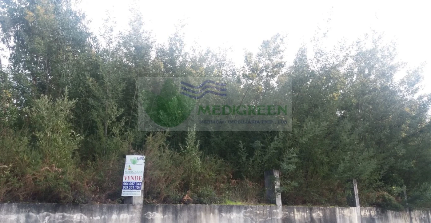 Terreno para Venda em Cedrim e Paradela Foto 5