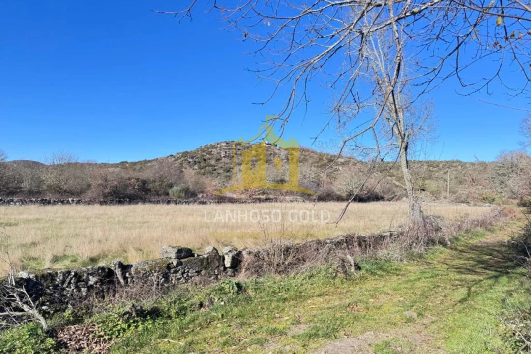 Terreno para Venda em Sarraquinhos Foto 14