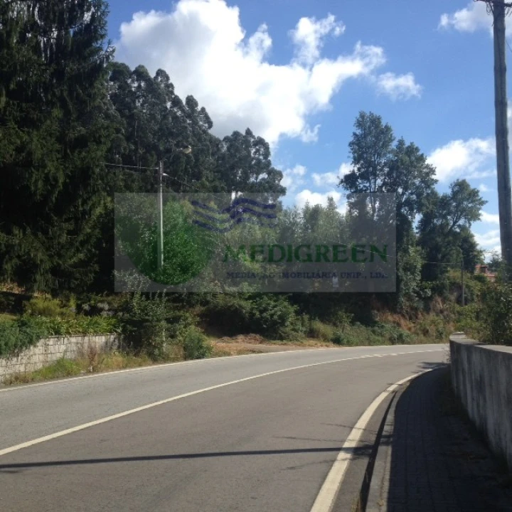 Terreno para Venda em Pessegueiro do Vouga Foto 1