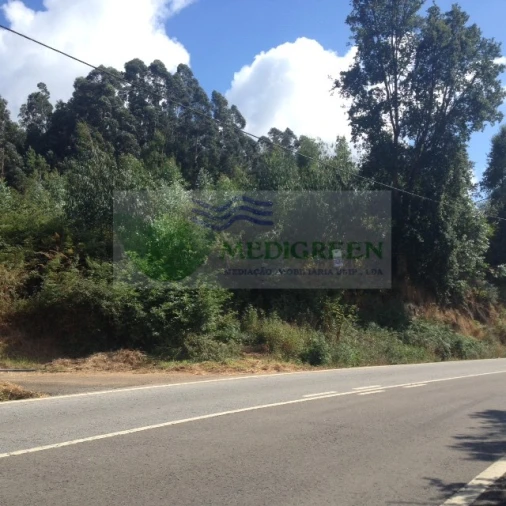 Terreno para Venda em Pessegueiro do Vouga Foto 2
