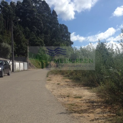 Terreno para Venda em Pessegueiro do Vouga Foto 3