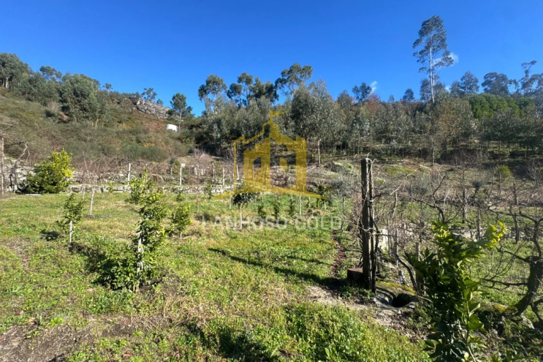 Terreno para Venda em Travassos Foto 1