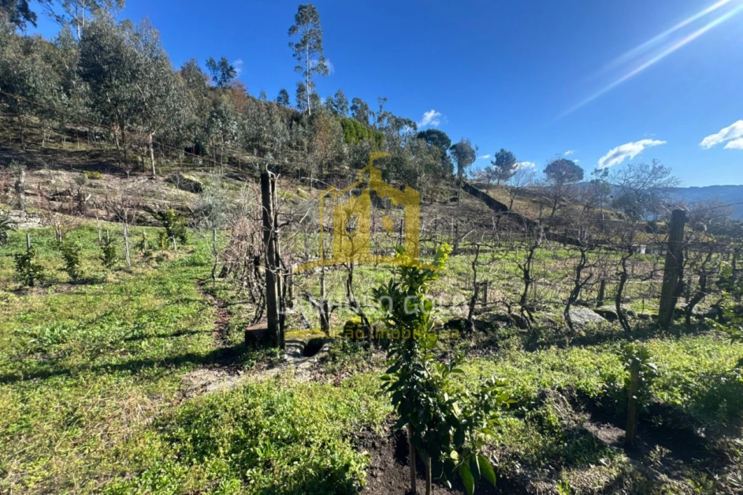 Terreno para Venda em Travassos Foto 2
