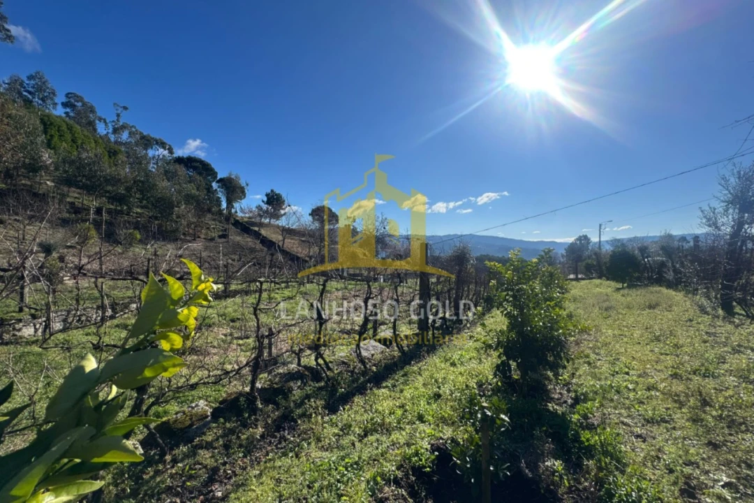Terreno para Venda em Travassos Foto 5