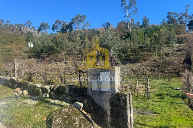 Terreno para Venda em Travassos Foto 6