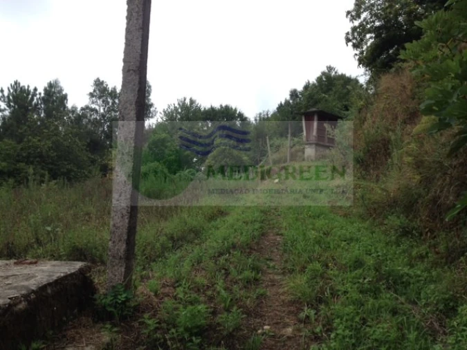 Terreno para Venda em Rocas do Vouga Foto 1