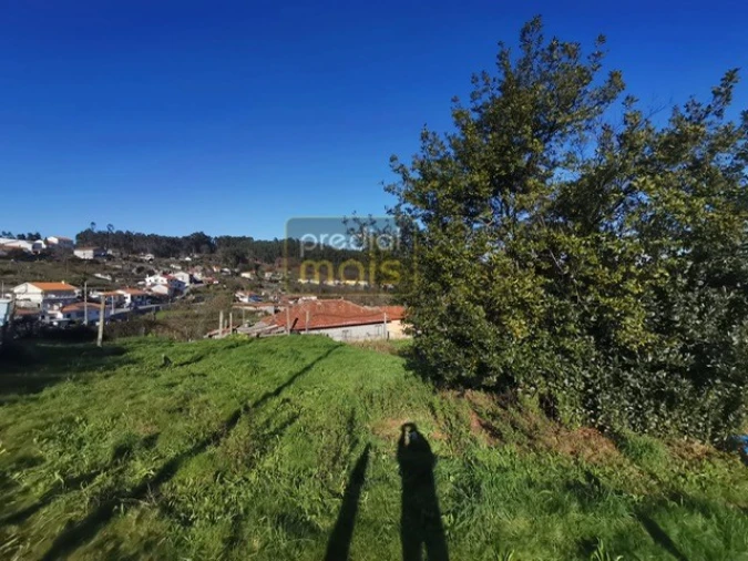 Terreno para Venda em Airão Santa Maria, Airão São João e Vermil Foto 3