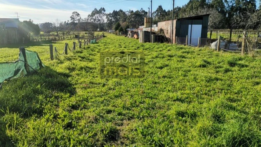 Terreno para Venda em Airão Santa Maria, Airão São João e Vermil
