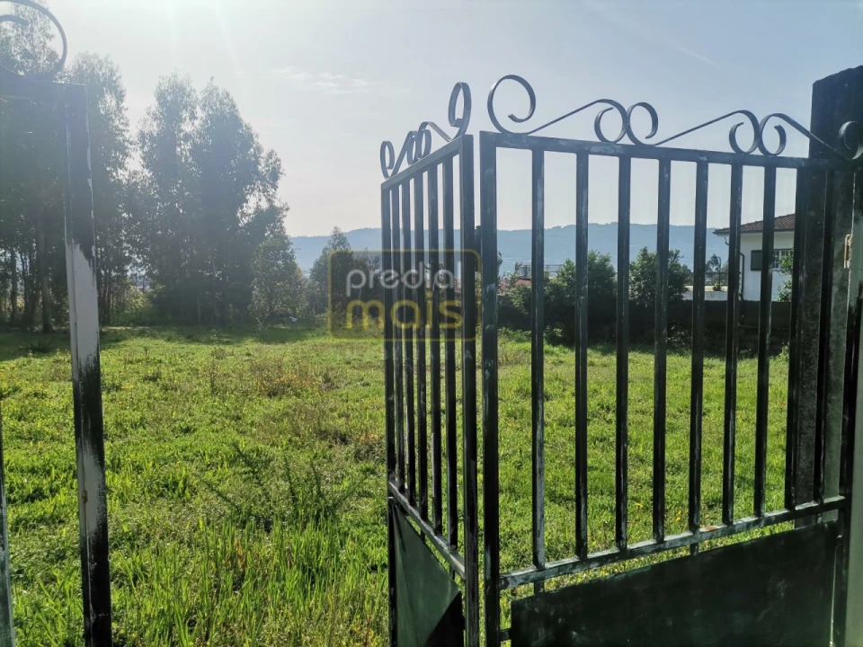 Terreno para Venda em Landim Foto 5