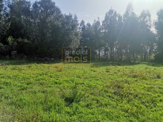 Terreno para Venda em Landim Foto 2